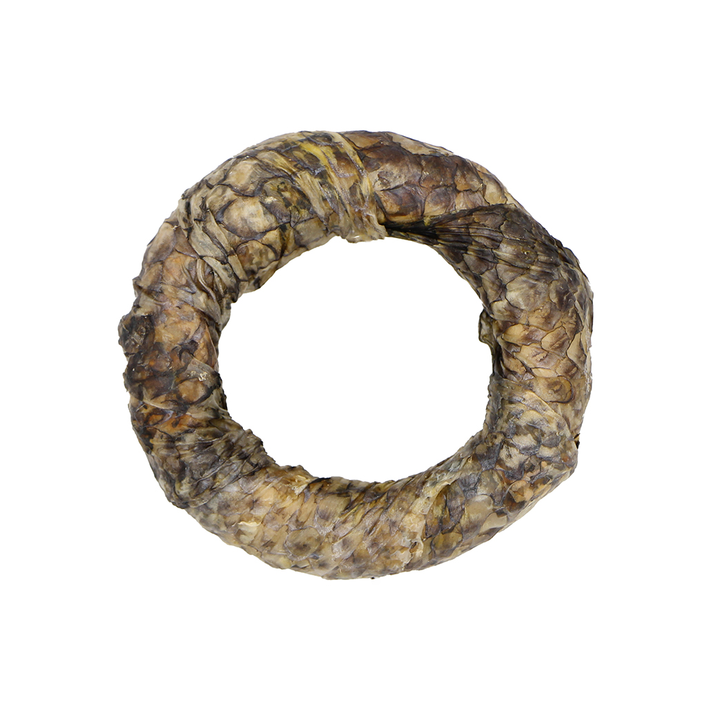 Fish skin with dental ring
