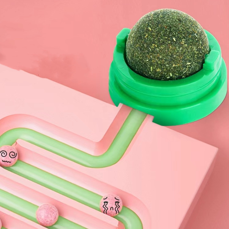 ctpet Mily Zhang tell you something about catnip