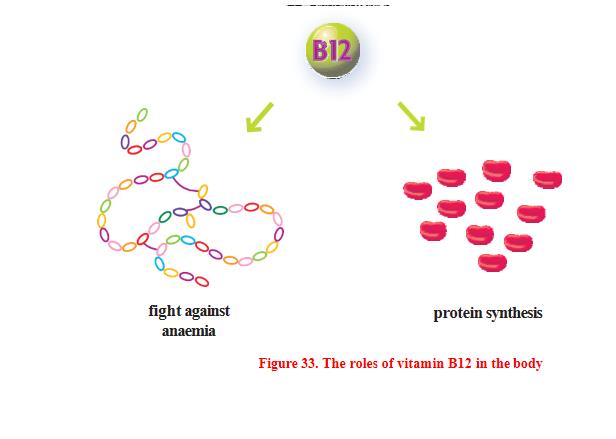 pet treats supplier in china (4).jpg
