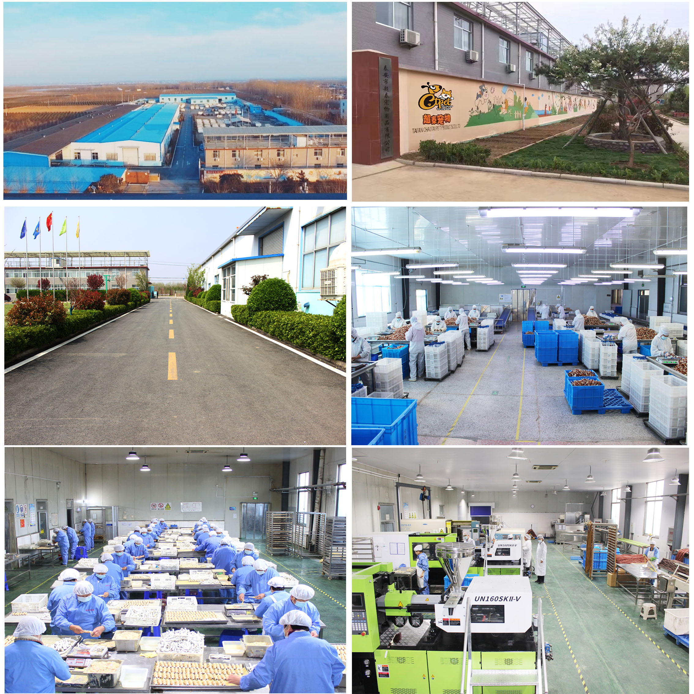 Bring More Happy Moments For Pet Families Is Our Mission